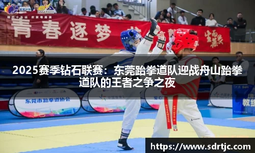 2025赛季钻石联赛：东莞跆拳道队迎战舟山跆拳道队的王者之争之夜